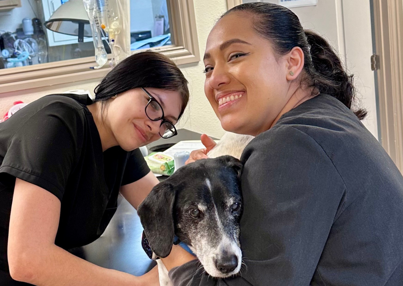 Carousel Slide 8: Melanie and Karla giving cuddles and a nail trim.
