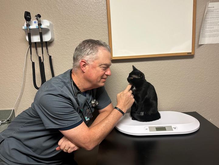 Preventive Care for Cats